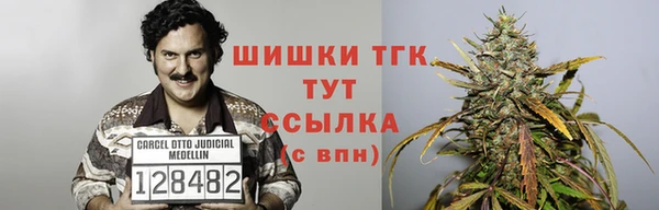 spice Аркадак