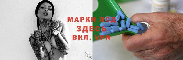 spice Аркадак
