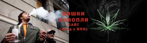 spice Аркадак