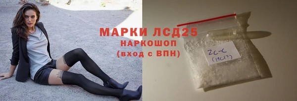 spice Аркадак
