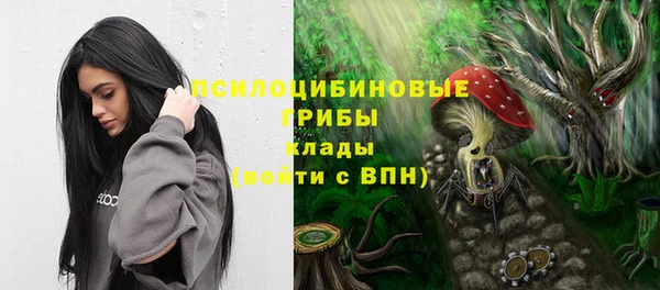 хмурый Армянск